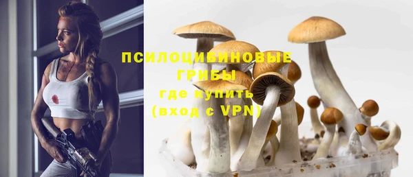 прущая мука Бородино
