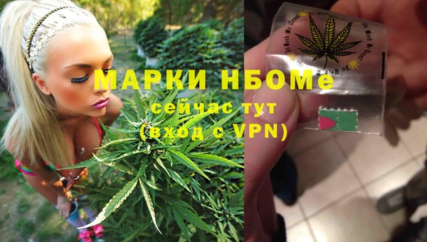 ПСИЛОЦИБИНОВЫЕ ГРИБЫ Верхнеуральск