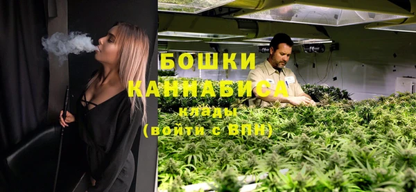 ПСИЛОЦИБИНОВЫЕ ГРИБЫ Верхнеуральск