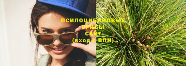 ПСИЛОЦИБИНОВЫЕ ГРИБЫ Верхнеуральск