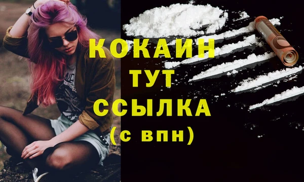 ПСИЛОЦИБИНОВЫЕ ГРИБЫ Верхнеуральск