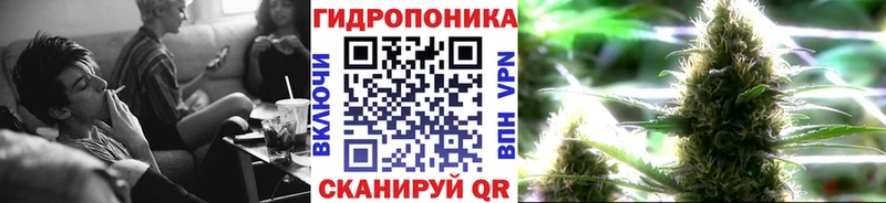 Шишки марихуана SATIVA & INDICA  как найти наркотики  Новосокольники 